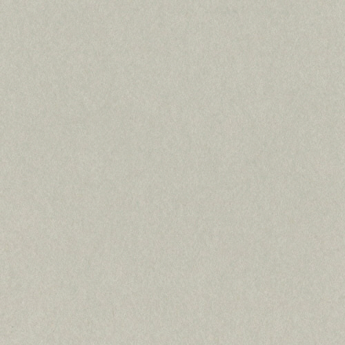 ﾆｭｰｶﾗｰR 四つ切 あかるいはいいろ 1ﾊﾟｯｸ(100枚)画像