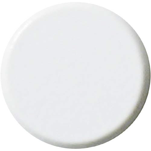 両面強力カラーマグネット　１８ｍｍ　白　１０個入画像