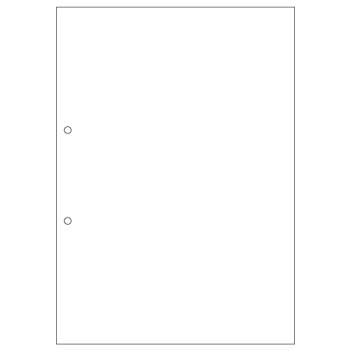 ﾏﾙﾁﾌﾟﾘﾝﾀ帳票 A4 白紙 2穴 1冊(100枚)画像