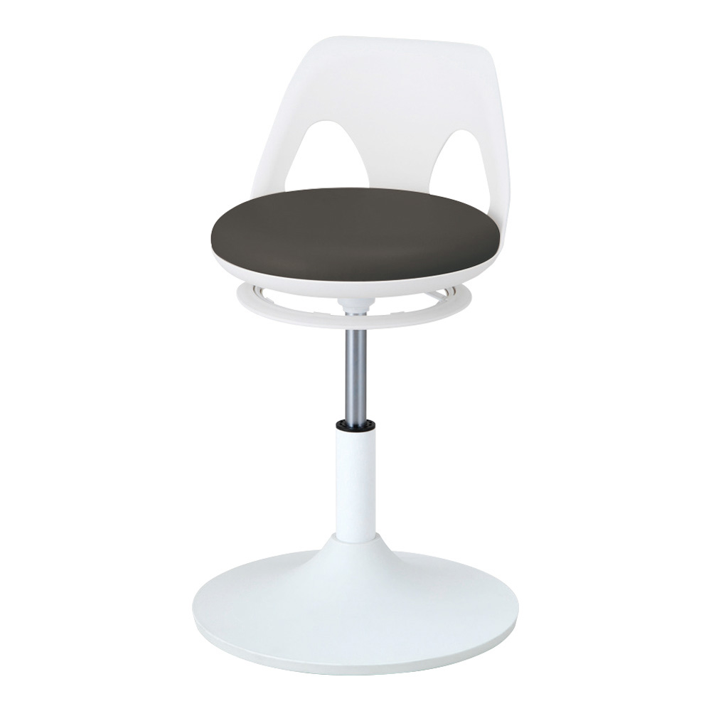 クランケチェア　ラクーン　ブラック画像