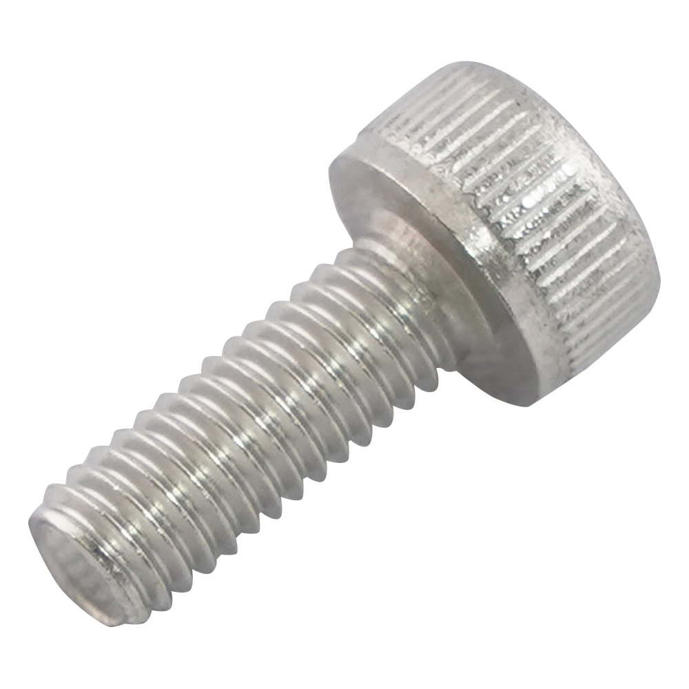 六角穴付きボルト　ステンレス　100本入