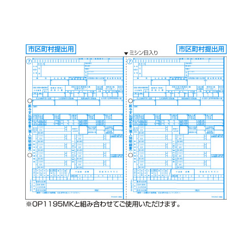 給与支払報告書（個人別明細書）　Ａ４　２面