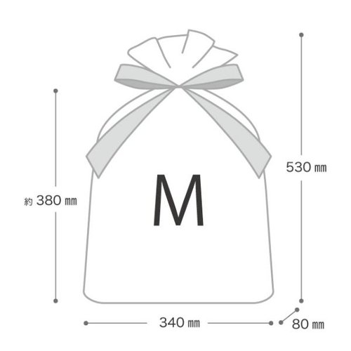 ポリ手提げ クラシカルクリスマス リボン付PEギフトバッグ-M(20枚) ヘッズ リボンが付いたクリスマスデザインのギフトバッグが並んでいる様子