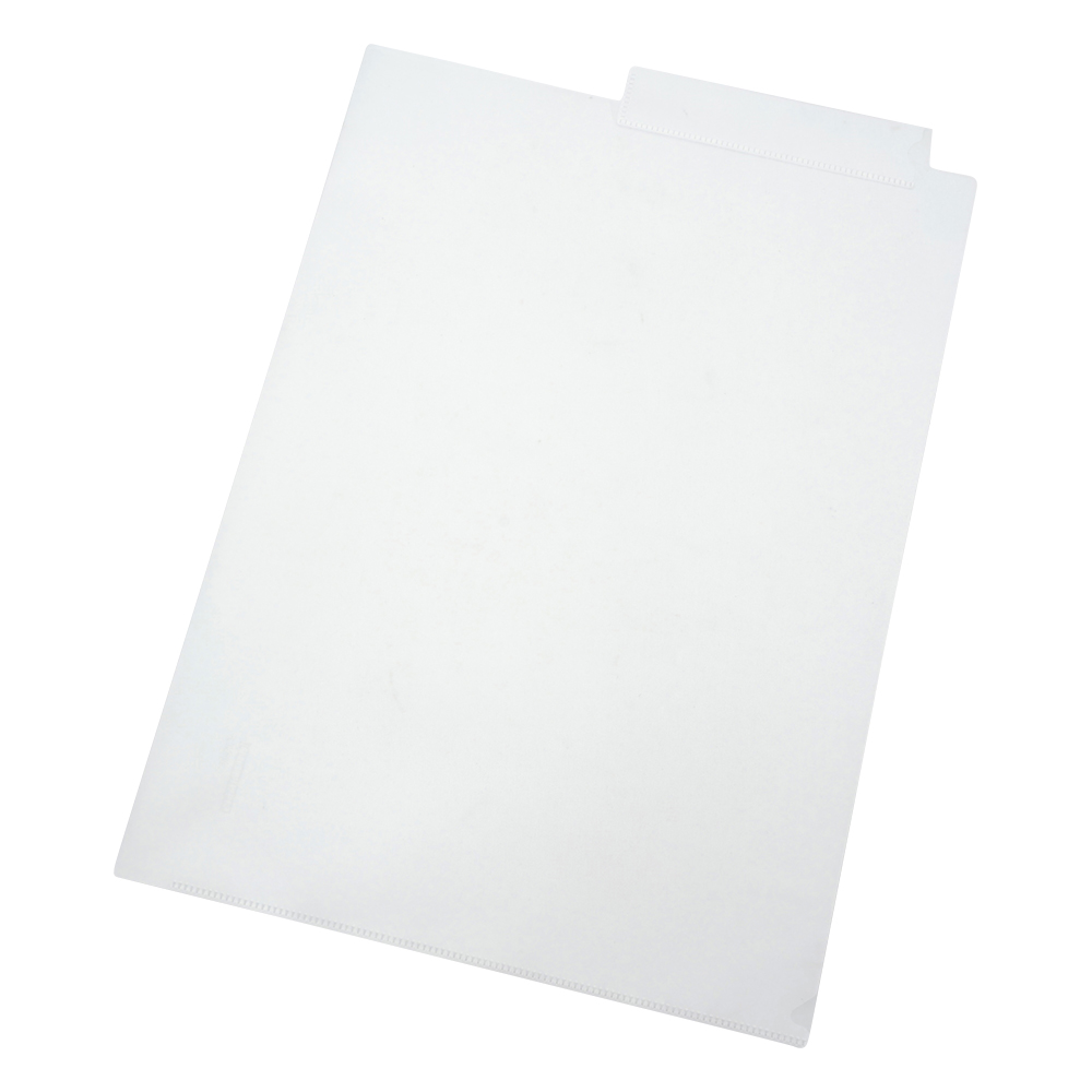 カルテフォルダー シングルポケット 50枚入