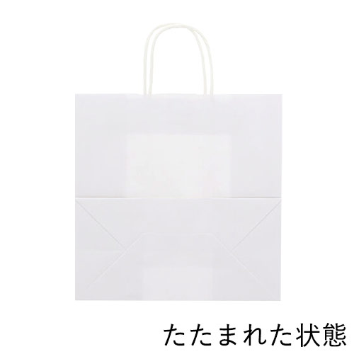 箱入り商品のギフトバッグにおすすめ！正面が正方形でマチが広めの白無地手提げ紙袋