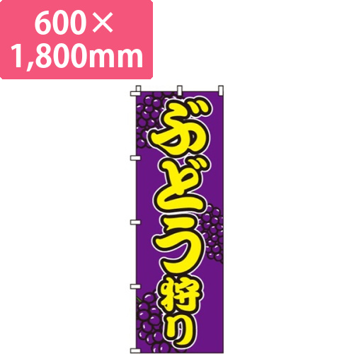 ぶどう狩り画像