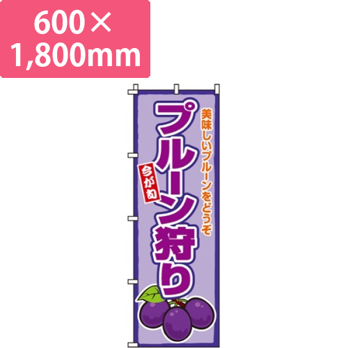 プルーン狩り画像