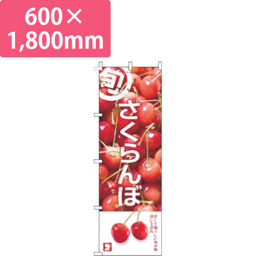 さくらんぼ写真白画像