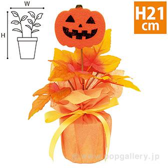 ハロウィンラッピングポット画像