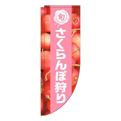 さくらんぼ狩り写真ピンク帯Rのぼり(棒袋仕様)画像
