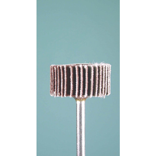 ﾐﾆﾓ ﾗｼﾞｱﾙｻﾝﾀﾞｰ#120 φ 20 1袋(3本)画像