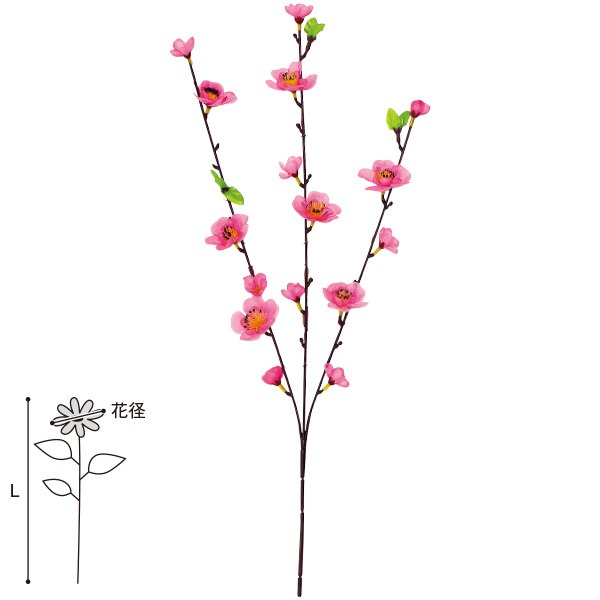 桃スプレー画像