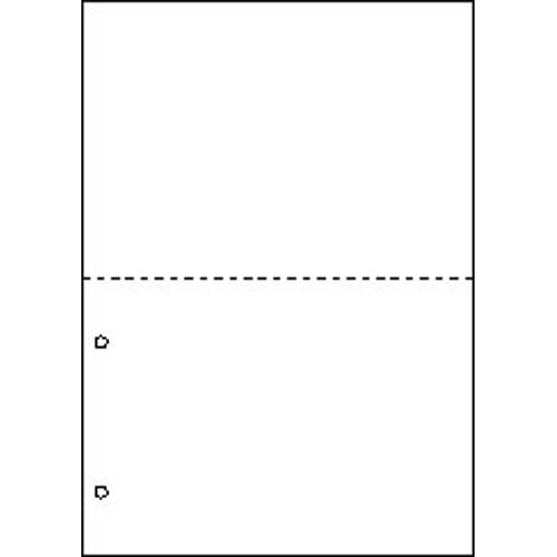 マルチプリンタ帳票　Ａ４　白紙２面２穴　１００枚画像