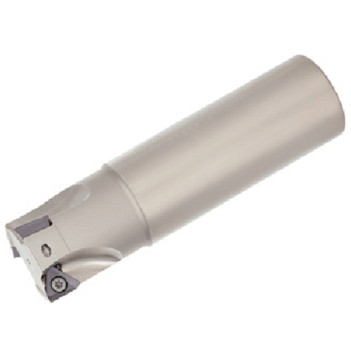 TAC柄付ﾌﾗｲｽ 1個画像