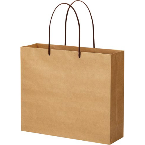 クラフトバッグ　丸紐　ＬＬ　１０枚画像