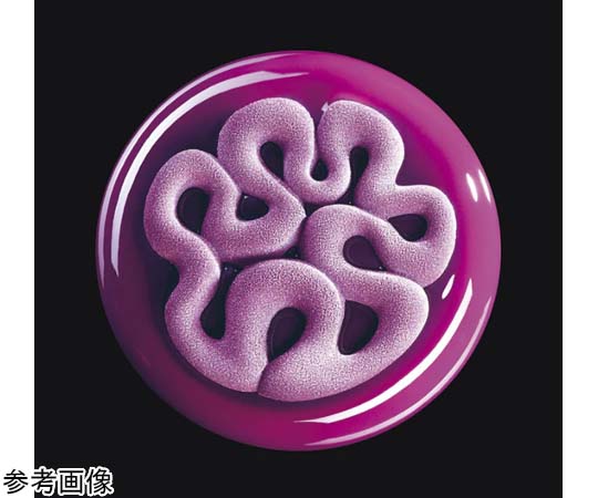 TOP 3D ミニ ジェリー（Mini Jelly） 透明な容器に収められたカラフルなゼリーの束が見える状態