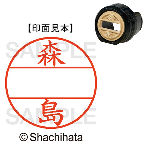 ﾃﾞｰﾀｰﾈｰﾑEX12号 ﾏｽﾀｰ部(印面) 既製 森島 1個画像