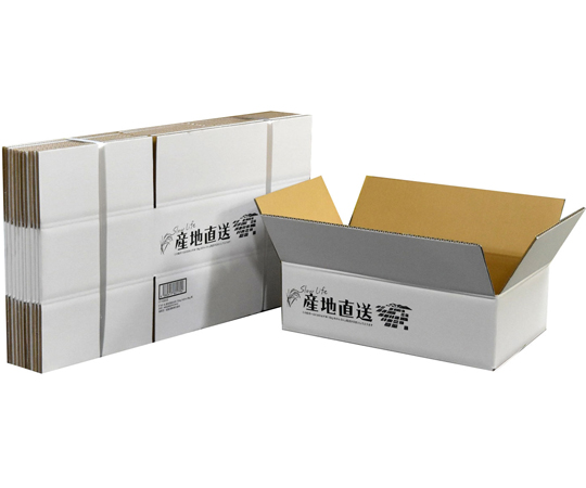 ダンボール　産地直送お米10kg　みかん6kg用　10枚入画像