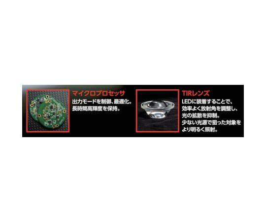 G2X　PRO　タン パッケージが斜めから見える状態、裏面には成分表と使用方法が記載されている。