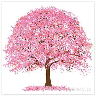 ウォールタペストリー 桜画像