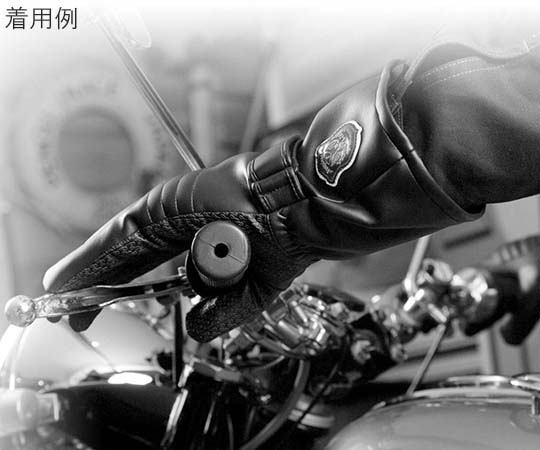 Pパターンウインター　ブラック　M 折りたたまれた状態で角が丸いデザインが見える。
