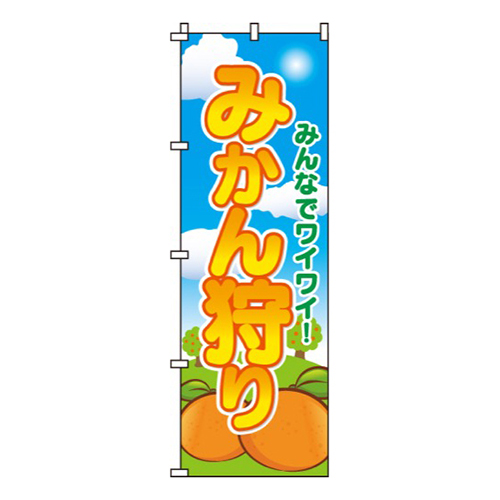 みかん狩りみんなでワイワイ！画像