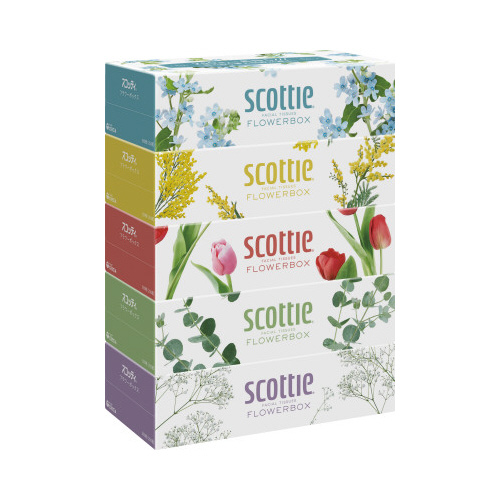 スコッティティシューフラワー２５０組×５箱４パック