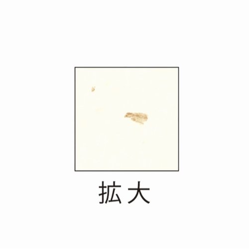 プリンター用紙 サステナブルクラッポ バナナ 5％ 厚口 10枚入 ヒサゴ パッケージが横向きで、色鮮やかなデザインが施されている様子