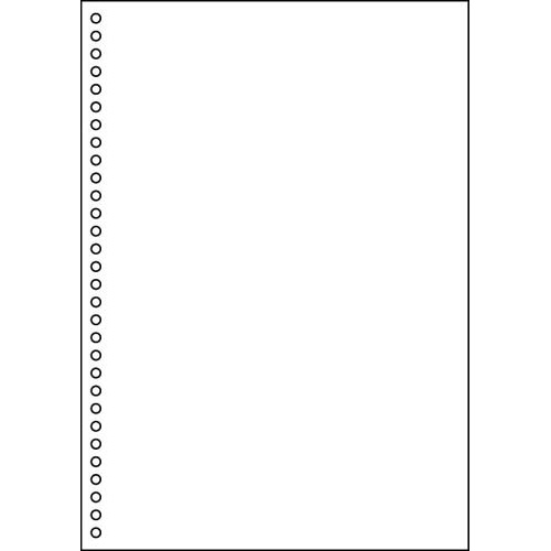 マルチプリンタ帳票　Ａ４　白紙３０穴１００枚画像