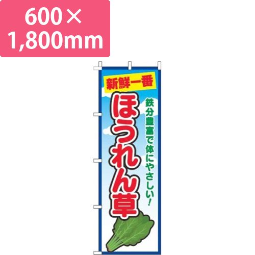 ほうれん草青空画像