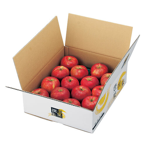 豊果撰集（ＤＸ）画像