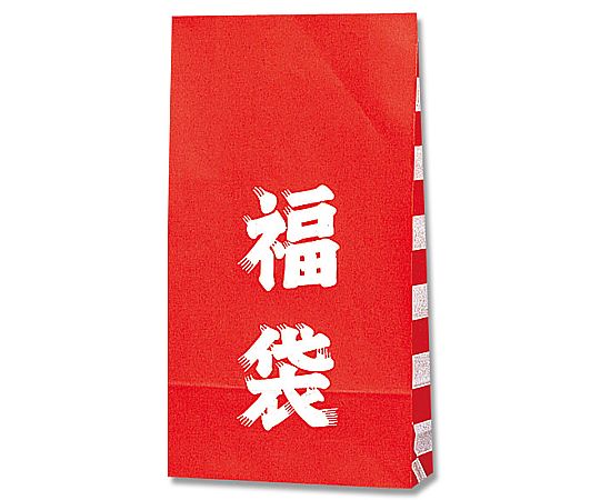 ファンシーバッグ　福袋　100枚画像