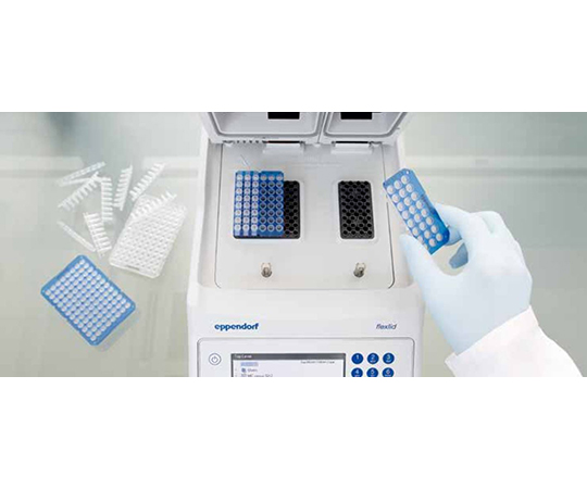 ツインテクmicrobiology PCRプレート96 スカート, 青 1パック（10枚入） 青いスカート部分が強調された96穴のプレートが整然と並んでいる様子