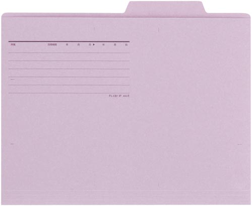 個別フォルダーエコノミー　バイオレット　１０枚画像