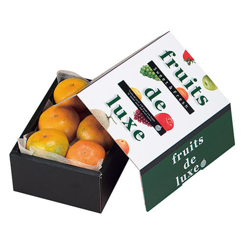 ニューラックス（小）画像