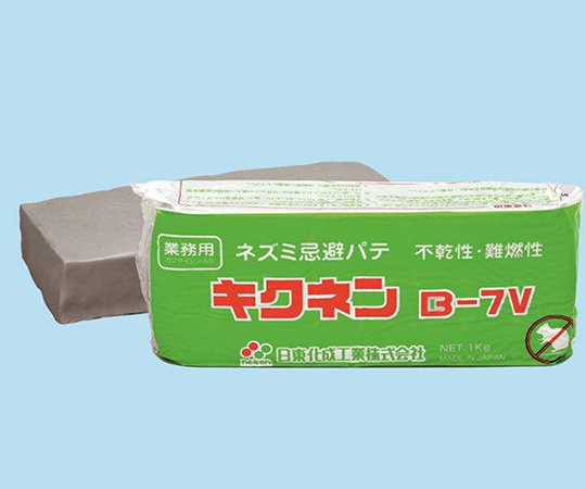 キクネン 1箱（10個入）画像