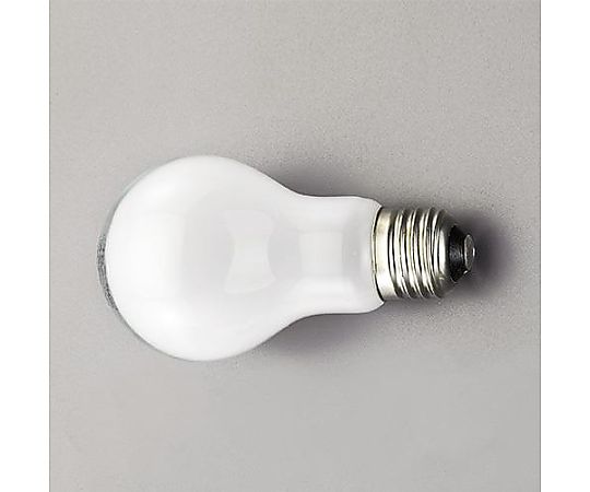 100V/100W/E26 白熱電球(ｼﾘｶ)画像