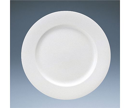パティア 27cmディナー皿 41623-5957画像