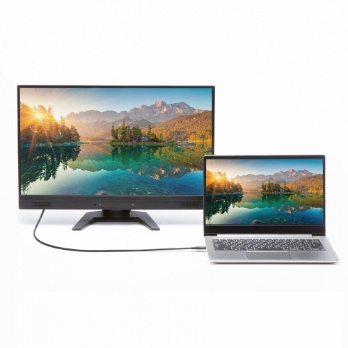 USB20Gbps(USB4　Gen2×2)Type-Cケーブル　1m　ブラック　1本 ケーブルのコネクタ部分が鮮明に見える状態