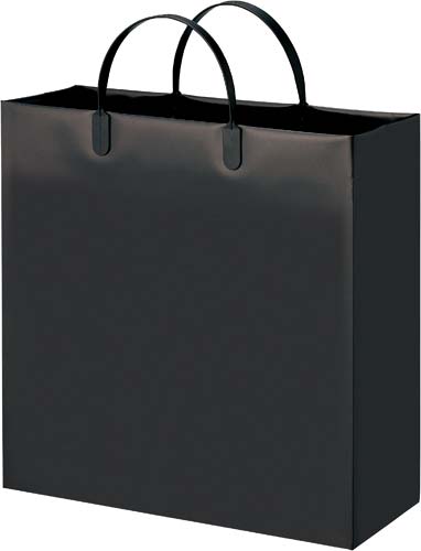 発泡ポリエチレンバッグ　Ｍ　クロ　１０枚画像