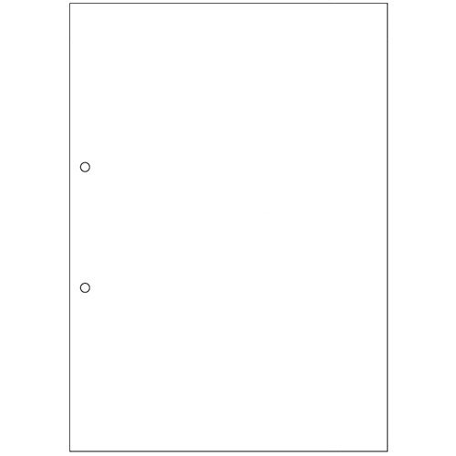 ﾏﾙﾁﾌﾟﾘﾝﾀ帳票 FSC認証紙 複写 A4 NC 白紙 2穴 1箱(500枚:100枚×5冊)画像