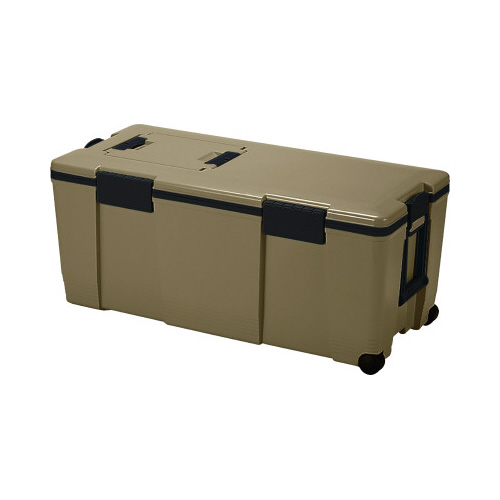 アイセル　＃７５　サンドベージュ