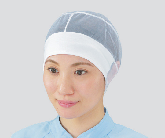 ヘアーネット　キャッピー　20枚入