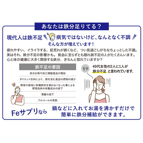 鉄玉　Feサプリ　ハンガー　C パッケージの背面が見える状態、成分や使用方法の説明が記載されている。
