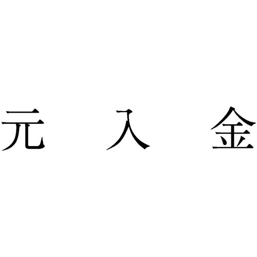 勘定科目印 249 元入金 1個画像