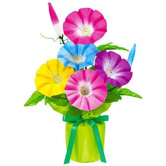 朝顔バリューラッピングポット画像