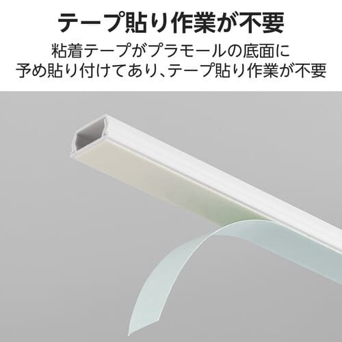 フラットモール 長さ1m 幅21mm TP 白 白色のフラットモールが巻かれた状態で、幅と長さが際立つ様子