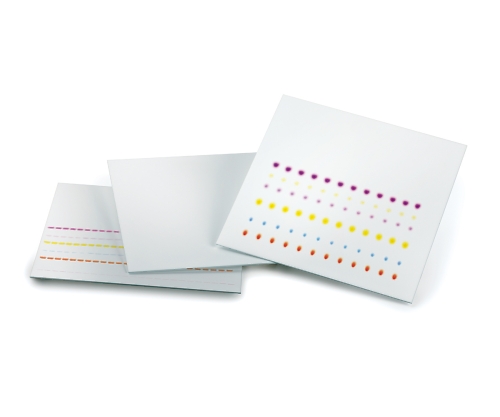 未修飾TLCプレート 蛍光指示薬無 200×200 ガラスプレート 1箱（25枚入）画像