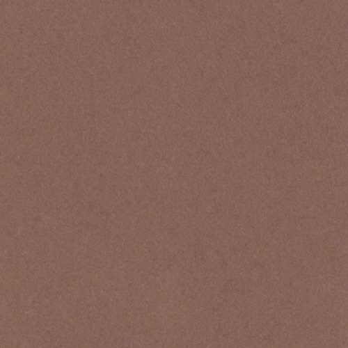 ﾆｭｰｶﾗｰR 八つ切 こげちゃ 1ﾊﾟｯｸ(100枚)画像