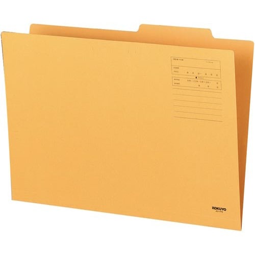 個別フォルダーＡ３×５０冊画像